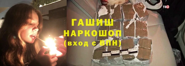 индика Алзамай