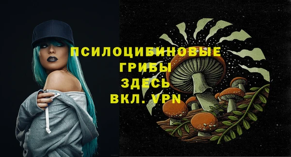 прущие грибы Алексин