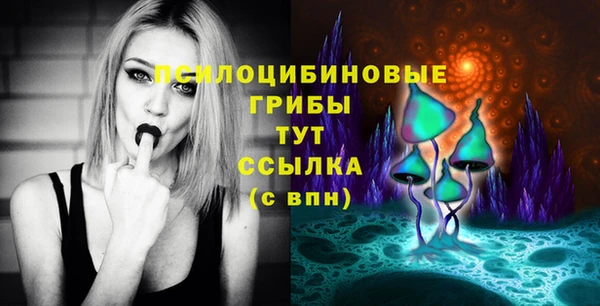 прущие грибы Алексин