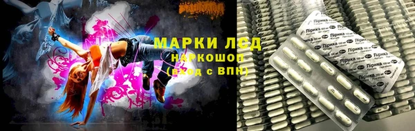 индика Алзамай