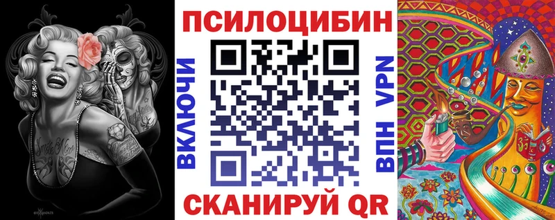 Псилоцибиновые грибы Psilocybine cubensis дарнет шоп omg сайт Венёв